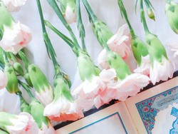 60 Caption untuk Maulid Nabi, Singkat dan Penuh Makna