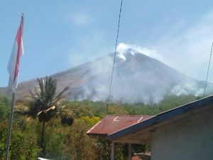 2 Hari Kebakaran Lereng Gunung Tertinggi di Flores gegara Puntung Rokok 2 Hari Kebakaran Lereng Gunung Tertinggi di Flores gegara Puntung Rokok