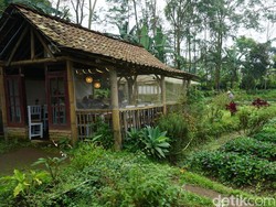 Komunitas Twelves Organic Perjuangkan Harga Pantas untuk Petani Mojokerto