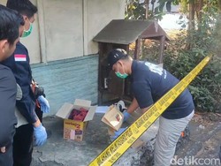 Mayat Bayi Dibuang Dalam Kardus Beserta Kertas dan Kafan Gegerkan Pasuruan