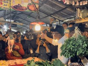 Mendag Zulhas Klaim Harga Beras Mulai Turun