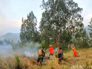Pelaku Pembakaran Hutan dan Lahan di Ijen Bondowoso Diamankan Pelaku Pembakaran Hutan dan Lahan di Ijen Bondowoso Diamankan