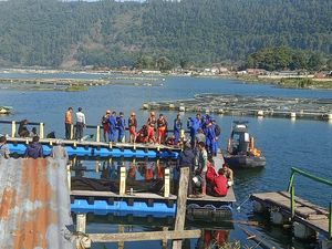 Pria yang Diduga Tenggelam di Danau Batur Sempat Minta Kirim Pesan WA Pria yang Diduga Tenggelam di Danau Batur Sempat Minta Kirim Pesan WA