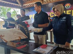 Pedagang Satwa Langka di Banyumas Ditangkap, 3 Buaya-Elang Disita