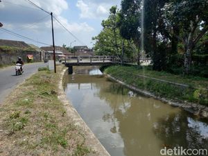 Selokan Mataram Jogja Akan Ditutup Sebulan, Petani Was-was Selokan Mataram Jogja Akan Ditutup Sebulan, Petani Was-was
