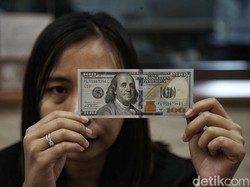 Dolar AS Betah di Rp 16.200, Bisakah Balik ke Rp 6.500 Seperti Era Habibie?