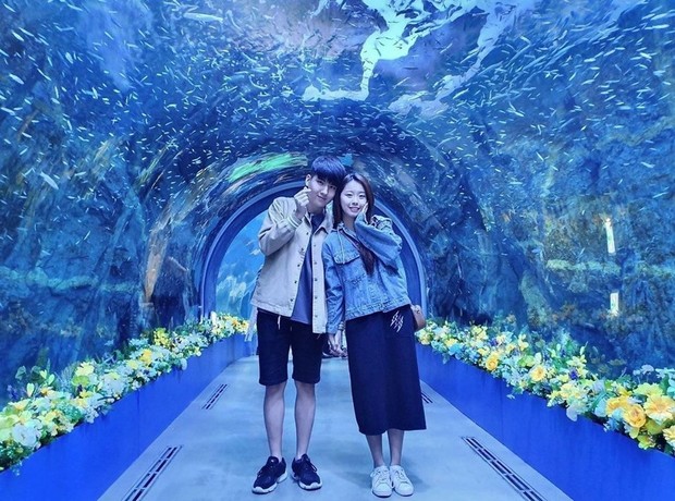 Aqua Planet Jeju /Foto: livingnomads.com Foto: livingnomads.com