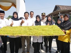 Harga Tembakau di Petani Naik, Bupati Mojokerto: Jaga Kualitas