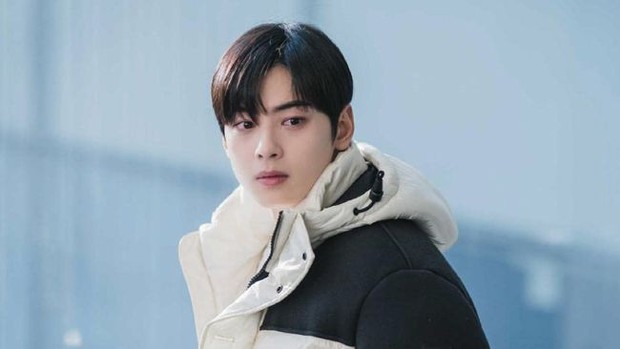 Cha Eun Woo /Foto: Courtesy of tvN Foto: Courtesy of tvN