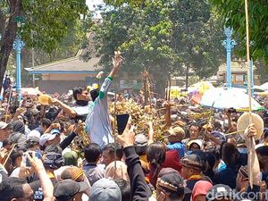 Antusiasme Warga Rayah Gunungan Grebeg Maulid di Solo