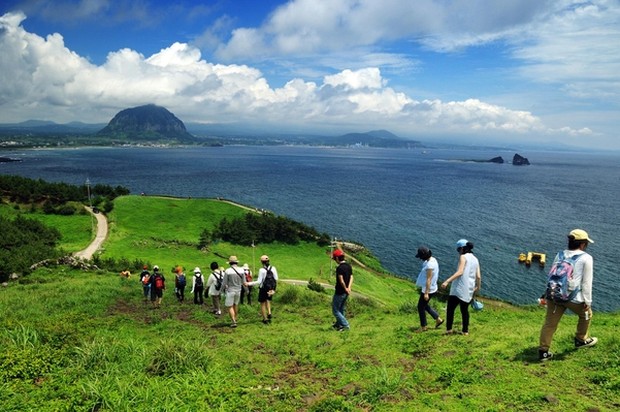 Jeju Olle Trail /Foto: m.visitjeju.net Foto: m.visitjeju.net