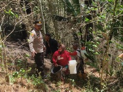 Hutan Pinus Loka Jeneponto Terbakar, 200 Personel TNI-Polri Diterjunkan