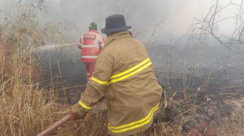 10 Hektare Hutan di Belitung Diduga Sengaja Dibakar, Damkar Kewalahan