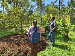 Kemarau Panjang Ancam Produksi Durian di Tabanan