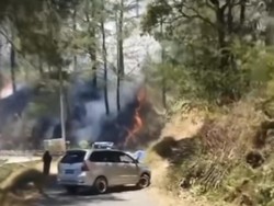 Kebakaran di Hutan Pinus Malino Gowa, Pengendara Dilarang Melintas
