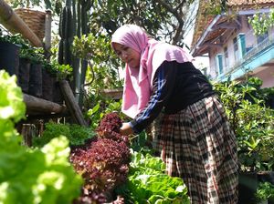 Program Harum Madu Pemkab Garut Dorong Kemandirian Pangan-Tekan Inflasi