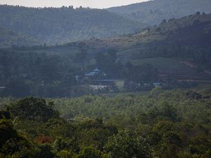 Bagaimana Kondisi Rempang Saat Ini? Begini Penjelasan BP Batam Bagaimana Kondisi Rempang Saat Ini? Begini Penjelasan BP Batam