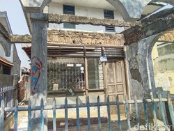 Bertambah, Total 18 Sanca yang Ditangkap di Rumah Kosong Sarang Ular Jaktim