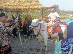 Melihat Tradisi Menthak-Menthik di Kebumen Sambut Maulid Nabi Melihat Tradisi Menthak-Menthik di Kebumen Sambut Maulid Nabi