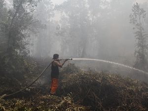 Upaya Pemadaman Karhutla di Kalimantan Tengah