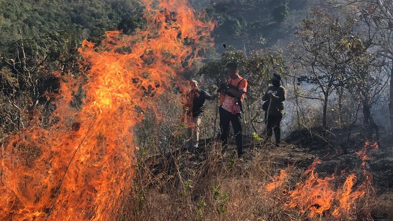 10 Hektare Lahan di Bulu Sewo Soppeng Terbakar, Polisi Selidiki