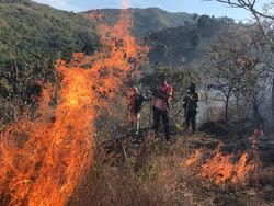 10 Hektare Lahan di Bulu Sewo Soppeng Terbakar, Polisi Selidiki