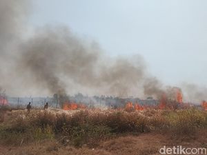 3 Hektare Lahan Dekat Bandara Kertajati Majalengka Terbakar