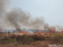 3 Hektare Lahan Dekat Bandara Kertajati Majalengka Terbakar