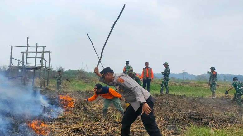 Lahan Kosong di Muaro Jambi Sempat Terbakar 17 Jam, Penyebab Diselidiki