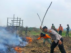 Lahan Kosong di Muaro Jambi Sempat Terbakar 17 Jam, Penyebab Diselidiki