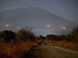 Lereng Gunung Agung Terbakar, Begini Kondisinya
