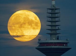 Harvest Moon Hari Ini Jam Berapa? Ini Jadwal dan Cara Lihatnya Harvest Moon Hari Ini Jam Berapa? Ini Jadwal dan Cara Lihatnya