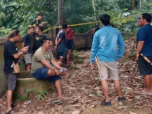 Pria Bunuh Tetangga Lalu Dibuang ke Kandang Buaya, Ini Motifnya Pria Bunuh Tetangga Lalu Dibuang ke Kandang Buaya, Ini Motifnya