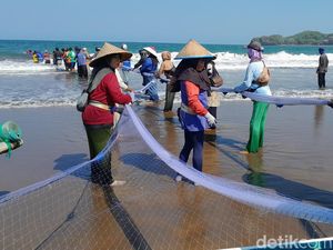 Saryono Dapat Ikan Rp 70 Juta Saat Menjaring di Pangandaran Saryono Dapat Ikan Rp 70 Juta Saat Menjaring di Pangandaran