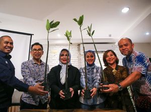 Penanaman Mangrove untuk Atasi Polusi Jakarta