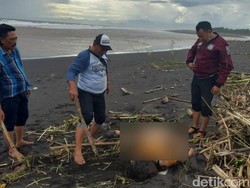 Amarah Kuli di Lumajang Bunuh Janda gegara Diperas Usai Diajak Bercinta