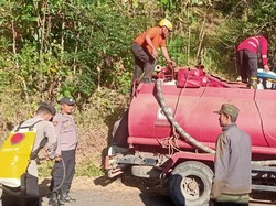 Kebakaran Hutan Pinus di Jeneponto Hanguskan 15 Hektare Lahan