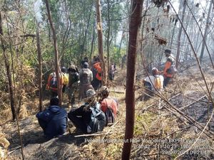 Bukan Mongkrang, Ternyata Kebakaran Terjadi di Hutan Lindung Tawangmangu Bukan Mongkrang, Ternyata Kebakaran Terjadi di Hutan Lindung Tawangmangu