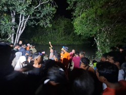 Cari Raflesia yang Diterkam Buaya, Tim SAR Pasang Jaring di Hulu-Hilir Sungai