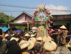 Melihat Tradisi Meron di Sukolilo, Jejak Prajurit Mataram di Pati