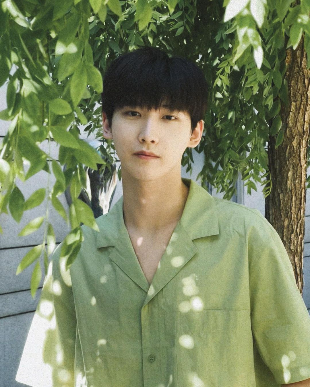 Xing Zhaolin