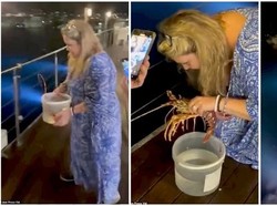 5 Kisah Orang Tak Tega Makan Hewan, Tangisi Sashimi dan Lepas Lobster!