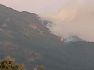 Fakta di Balik Viral Video Warung Mbok Yem di Gunung Lawu Hangus Terbakar Fakta di Balik Viral Video Warung Mbok Yem di Gunung Lawu Hangus Terbakar