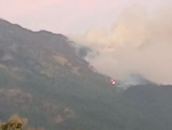 Gunung Lawu Terbakar, Warung Mbok Yem Viral