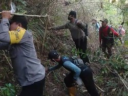 Polda Jatim Turun Tangan Selidiki Penyebab Kebakaran Gunung Lawu