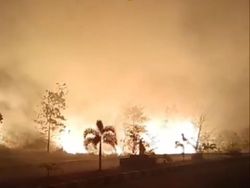 Lahan Bandara Muaro Bungo Sempat Terbakar, Diduga Bukan Ulah Manusia