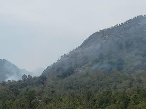 Bukit Barisan di Lahat Terbakar, Api Membara di Lereng-Puncak