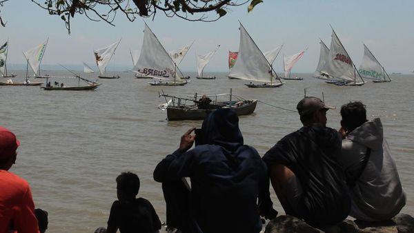 Melihat Serunya Lomba Perahu Layar Tradisional di Surabaya