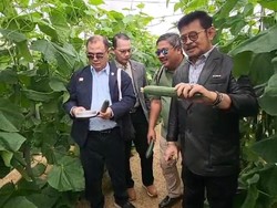 SYL Kunker ke Spanyol Bahas Green House Saat Rumah Dinas-Kantor Digeledah KPK