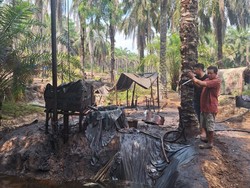 Gerebek Sumur Minyak Ilegal di Muaro Jambi, Polisi Tangkap 1 Orang Saat Bekerja